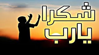 Shukran yaa rabi shukran شكرا يا ربي شكرا [upl. by Htessil1]