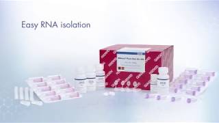 RNeasy FFPE Kit Purify total RNA from FFPE tissue sections [upl. by Yrahca]