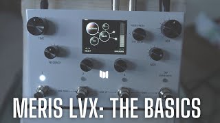 Introducing the Meris LVX  The Basics  Delay Types and Structures [upl. by Grondin]