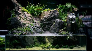 PALUDARIUM Rainforest Experience  REAL WATERFALL and Monumental Hardscape [upl. by Sallie]