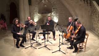 Brahms Clarinet Quintet Op115 Andantino  Milan Milosevic amp Zagreb Quartet Dubrovnik Festival [upl. by Nasar]