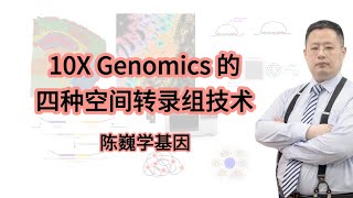 【陈巍学基因】视频127：10X Genomics 的 4 种空间转录组技术 [upl. by Anitnatsnoc46]