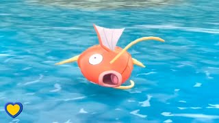 HOW TO GET Magikarp in Pokémon Lets Go Pikachu amp Eevee [upl. by Linskey]