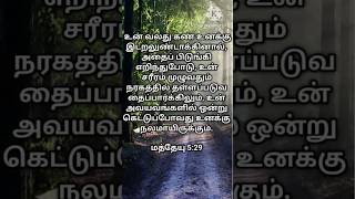 Indraiya manna jesus todaybibleverse love shorts youtubeshorts trending [upl. by Ordnazil]