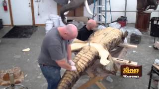 Taxidermy Time Lapse  Crocodile [upl. by Rivi671]