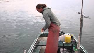 Pêche aux écrevisses sur le lac Léman [upl. by Linad]