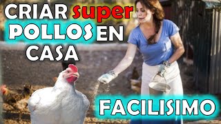 como criar pollos de engorde en casa [upl. by Eremahs]