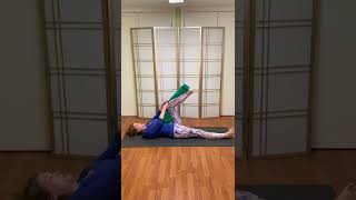 Osteoporosis Exercises Leg Stretches with Resistance Bands [upl. by Anitnahs372]