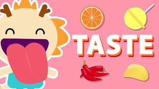 TASTE ♫  Five Senses Song  Wormhole Learning  Songs For Kids [upl. by Euqinaj]