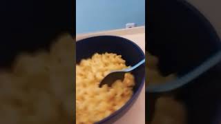 Macaroni cheese [upl. by Ynohtn]