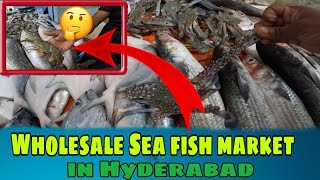 Hyderabad Wholesale Sea Fish market GHMC fish market [upl. by Ozen]