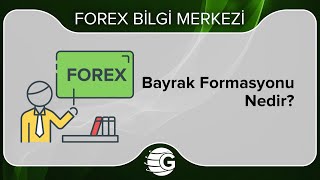 Bayrak Formasyonu Nedir [upl. by Eimilb273]