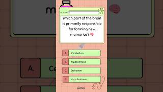 🧠 Can You Guess Which Brain Part Stores Your Memories mededtrivia brainteasers brainfacts quiz [upl. by Atteiluj]