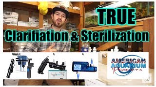 How TRUE Aquarium Sterilization amp Pond Clarification  Clarifier vs Sterilizer [upl. by Marpet]