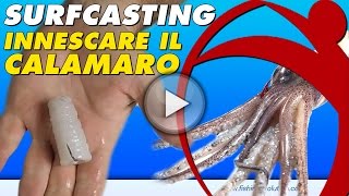 SurfCasting Come Innescare il Calamaro [upl. by Klemperer518]