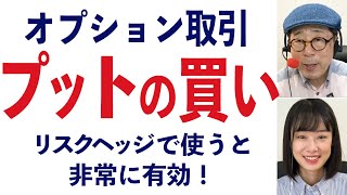 ＜オプション取引＞プットの買いを勉強しよう  リスクヘッジで使うのがおすすめ【講師からの提言】148限目 [upl. by Maite]