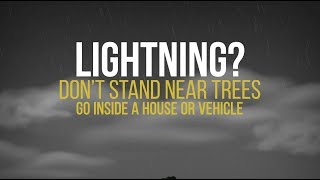 Lightning safety Why trees won’t protect you [upl. by Almeida248]