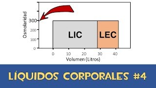 Líquidos corporales 4 💧 Osmolaridad [upl. by Benedicto]