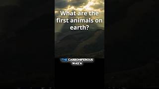 What Are The First Animals On Earth  The Carboniferous Period [upl. by Ietta]