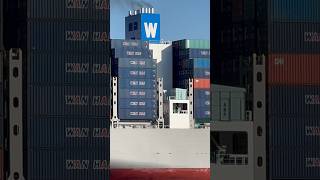 Large WAN HAI Container Ship [upl. by Etnoved]