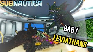 Subnautica  CAGED BABY LEVIATHANS NEW SEA EMPEROR ANIMATIONS amp SEA DRAGON BIG AS MAP  Gameplay [upl. by Nauquf]