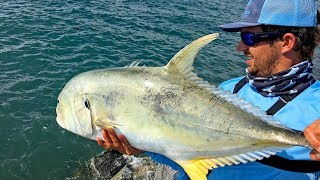 Fishing for Giant Jack Crevalles on the Jetties [upl. by Eltsyrk]