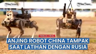 Penampakan Anjing Robot China di Tempat Pelatihan [upl. by Eberle]