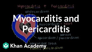 What is myocarditis and pericarditis  Circulatory System and Disease  NCLEXRN  Khan Academy [upl. by Matlick]