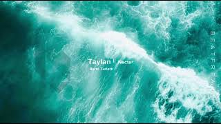 Taylan  Nectar Berni Turletti Remix [upl. by Alexio]