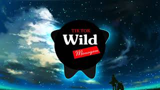 Wild Tik Tok  Monogem  抖音神曲 [upl. by Sula963]