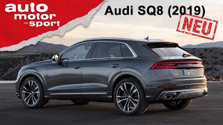 Audi SQ8 TDI 2019 DieselFrust trotz 900 Newtonmeter – ReviewFahrbericht  auto motor und sport [upl. by Mauer]