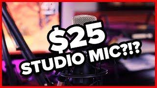 25 STUDIO MICROPHONE  Neewer NW700 Professional Condenser Microphone Review Unboxing and Demo [upl. by Airegin]