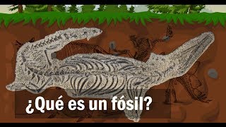 ¿Qué es un fósil [upl. by Htiderem]