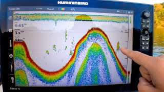 Sonar Basics How To Identify Fish Bass Panfish and Baitfish [upl. by Weinberg]