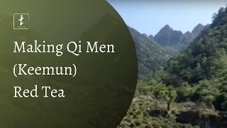 Tea Drunks Tea Adventure Qi Men Keemun Red Tea [upl. by Atnek]