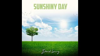 Sunshiny Day official lyric video [upl. by Aynotal970]