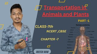 Transportation in Animals And Plants  Class7  NCERT  CBSE PART 1 Sahil sir [upl. by Gasser]