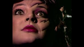 Kate Bush  Babooshka  Dr Hook Faux HD [upl. by Aneed163]