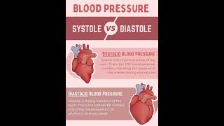 systolic and diastolic blood pressure explained  systolic and diastolic blood pressure animation [upl. by Martin]