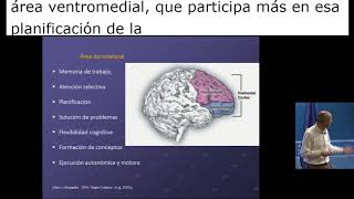 EDINEURO 2018 La corteza prefrontal y las áreas cerebrales [upl. by Tijnar929]