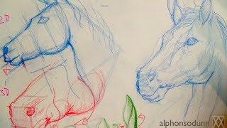 How to Draw a Horse Portrait [upl. by Annadiana]