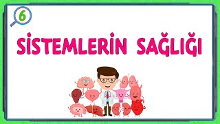 SİSTEMLERİN SAĞLIĞI \ 6Sınıf \ Fen Bilimleri [upl. by Merry]