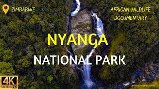 African Wildlife Documentary Film  Nyanga National Park Zimbabwe Africa [upl. by Neala]