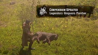 Master Hunter 10 Legendary Giaguaro Panther RDR2 HOW TO KILL [upl. by Sethi]