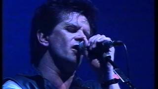 Runrig  The Cutter  Live Stadthalle Freiburg 1993 [upl. by Doley]