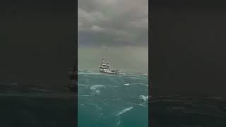 scary sea biggest amzing ship in the world oceanship ocean bigship sea north [upl. by Anig56]