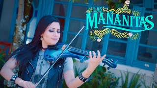 Las mañanitas ROCK 🎻 en Violín eléctrico  Martha Psyko [upl. by Ahsekad15]