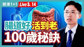 3類食物延緩腸道老化抑發炎，銀髮族的長壽飲食秘訣，世界長壽排名第一 ，日本長壽鎮百歲人瑞超過全國平均3倍，秋葵和海菜海帶 膳食纖維含量高；（20230314） 健康11 · 直播 [upl. by Reywas]