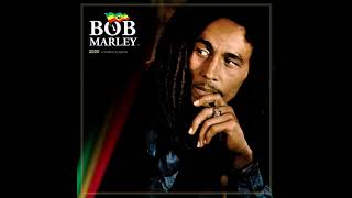 Bob Marley  Stiff Necked Fools [upl. by Regdor]