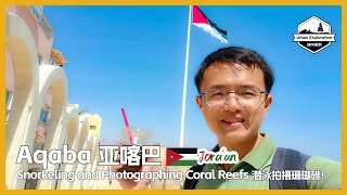 🇯🇴 Aqaba Jordan Snorkeling and Photographing coral reefs 约旦唯一海滨城市亚喀巴，最容易潜泳拍摄珊瑚的海湾 العقبة  Aqaba [upl. by Peirsen557]